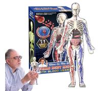 Human Body Model - 4D Full Body Torso with Glow in the Dark Skeleton | Early Educational Anatomy Set with Removable Organs | Science Learning Toy for Kids Display in Living Room Bedroom Study