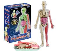 Human Body Model,9 Parts Human Torso Anatomy Model,4d Anatomy Model Puzzle,Glow In The Dark Learning Anatomical Skeleton Model,Human Skeleton Model,Human Anatomy Model,Human Body Science Kit