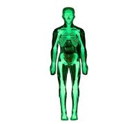 Human Body Model - Anatomy Doll, Glow in Dark Organs Toy Tools | Human Body Structure Model | for Science Educational Learning Experiments Boys Girls Age 8+ Lab Halloween Student Doctor Classroom