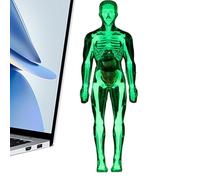 Human Body Model - Anatomy Science Body Model for Kids - Interactive Educational Figure Doll Skeleton Toy for Students Study Classroom Homeschool Adults Learning Doctor Dentist Lab Preschool