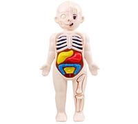 Human Body Model for Kids, 18cm Human Body Skeleton Model Kits with Detachable Organs, ABS Anatomy Figure Interactive Science Kit, STEM Educational Toys for Boys and Girls