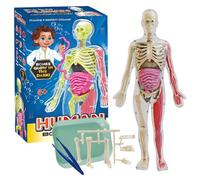 Human Body Model for Kids, 32CM Science Can Human Body Model for Kids with 9 Removable Organs, Human Anatomy Kit Glow In The Dark, Human Anatomy Model for School Science Medical Education Display
