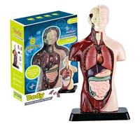 Human Body Model for Kids, 9.6 Inch Realistic Human Anatomy Toy with 6 Pcs Removable Organ Parts, Interactive Human Body Toy Educational Toys for Kids Aged 6+ Gifts
