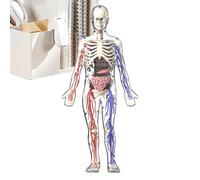 Human Body Model For Kids - Anatomy Figures, 1 Pack Internal Mannequins For Educational Science, Organ Visualizing Statue With Glowing, Learning Aid, Fleshless Frame For Schooling