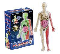 Human Body Model for Kids, Glow in The Dark Realistic Human Anatomy Model, DIY Detachable Body, Educational Anatomy for Kids Gifts
