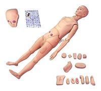 Human Body Model - Male Nursing Manikin Multi-Functional 170Cm Life Size Patient Care Manikin Simulator Human Anatomical Model