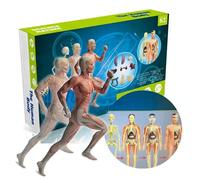 Human Body Model Organs and Bones Simple Assembly Learning Tool Kit Anatomy Display STEM Educational Teaching Supplies