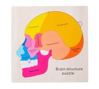 Human Body Puzzle,Anatomy For Kids | Educational Interactive Detailed Skeleton Jigsaw For Cognitive Development Hands-On Experiments