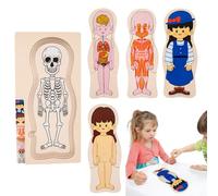 Human Body Puzzle For Kids - 30cm Wooden Educational Anatomy Board | Perfect Learning Activities, Preschool Education, Parent Child Engagement, Knowledge, Classroom Lessons, Home Study, Developmental