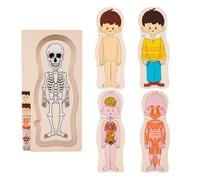 Human Body Puzzle For Kids - Educational Anatomy Puzzle, Interactive Learning Toy | Wooden Skeleton Model Enhances Part Recognition And Cognitive Skills, Ideal Home Classroom Playroom