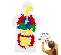 Human Body Puzzle, Human Organs Jigsaw, Scientific Cognition Toy 30cm For Modern Art Professional Home Supplies Daily Repair Kit Modern House Accessory Unit Home Decor Interior Supply Case