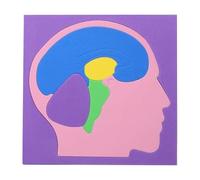 Human Body Puzzles for Kids,EVA Assembly Science Brain Model - Brain Anatomy Puzzles - for Youth Children Home School Indoor Kindergarten Travel Playroom
