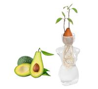 Human Body Shape Avocado Vase, Hydroponics Terrarium Plants Vase Avocado Seed Hydroponic Bottle Clear Glass Seed Vase for Home/Office Decoration Plant Lovers (1)