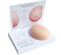 Human Body Silicone Breast Model, Breast with Cancer Anatomical Model,Pathological Lumps Breast Self Test Mannequins,Suitable for Doctor-Patient Communication