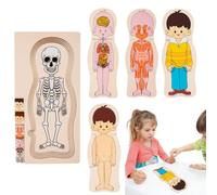 Human Body Structure Puzzle Educational Organ Recognition Toy Learn Anatomy | Human Body Model Puzzle for Preschoolers Youngsters Kids Ages 3 Plus Kindergarten Homeschool Early Learning Activity