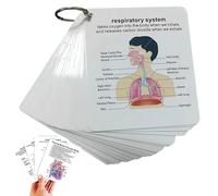 Human Body System Anatomy Card, 1 Set Medical & Nursing Learning Guide with Rings, Portable Learning Card for Students, Gift for Students, Square Nursing Flashcards
