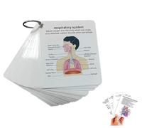 Human Body System Anatomy Card, Portable Learning Card for Students,1 Set Medical & Nursing Learning Guide with Rings, Gift for Students, Square Nursing Flashcards for Study for Beginner