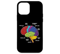 Human Brain Anatomy Neuroscience Labeled Cortex Lobes Case for iPhone 12 mini