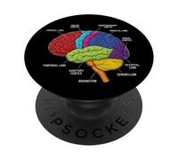 Human Brain Anatomy Neuroscience Labeled Cortex Lobes PopSockets Adhesive PopGrip