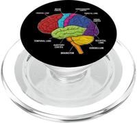 Human Brain Anatomy Neuroscience Labeled Cortex Lobes PopSockets PopGrip for MagSafe