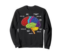 Human Brain Anatomy Neuroscience Labeled Cortex Lobes Sweatshirt