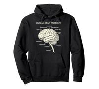 Human Brain Anatomy Neuroscience Labeled Diagram Pullover Hoodie