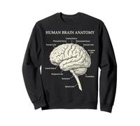 Human Brain Anatomy Neuroscience Labeled Diagram Sweatshirt