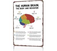 Human Brain Anatomy Science Study Tin Sign 12x8 Inch