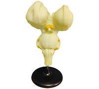 Human Brain Stem Model - Anatomical Brain Anatomy Learning Tool for Education - Perfect for Medical Students and Displays