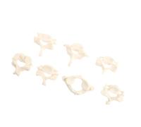 Human Cervical Spine Model Anatomical Teaching Model Life Size Pvc 1: 1