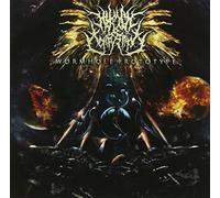 Human Decomposition - Wormhole Prototype