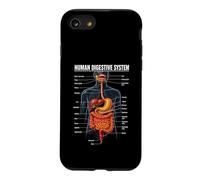 Human Digestive System Anatomy Biology Science Education Case for iPhone SE (2020) / 7/8