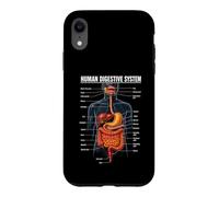 Human Digestive System Anatomy Biology Science Education Case for iPhone XR