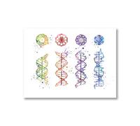 Human DNA And RNA Canvas Print Science Poster Biology Wall Art Picture Genetic Code Chemistry Painting Teacher Gifts Dorm Decor(4,20x25 cm No Frame)