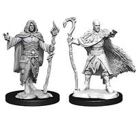 Human Druid Male D&D Nolzur's Marvelous Unpainted Miniatures