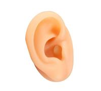 Human Ear Model Simulation Artificial Human Right Ear Silicone Ear Model for Ear Picking, Ear Piercing Teaching, Acupuncture