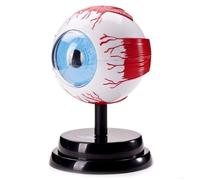 Human Eye Anatomical Model - Detachable Clear Eyeball for Medical Education and Teaching, Detailed Structure for Anatomy Study