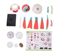 Human Eye Anatomical Model with 16 Detachable Parts Educational Eyeball Structure Science Teaching Tool for Classroom and Home Learning Plastic Material