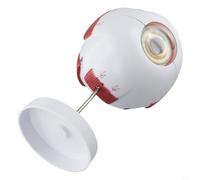 Human Eyeball Anatomy Model for Scientific Education - Detachable 6X Enlarged PVC Eye with 8-Part Structure, White and Red, Includes Base & Support Rod(3X)