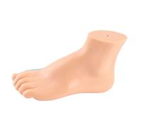 Human Foot Model Adults Lifesize 1:1 Anatomical Teaching Model Showing Normal Flat and High Arch Feet with Muscles Ligaments for Medical Education Research (cavus foot)