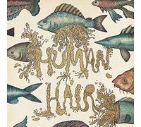 Human Hair - My Life as a Beast and Lowly Form