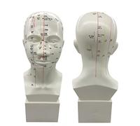 Human Head Acupuncture Model, Four-Function Acupuncture Point Model, Traditional Chinese Medicine Human Body Head Meridian Model, Head Practice Model of TCM Acupuncture