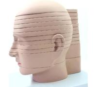 Human Head and Brain Transverse Section Model, Detachable 12 Parts, Brain Model for Radiology Imaging Learning A