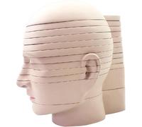 Human Head Cross Section Anatomical Model, 12PCS Head and Brain Cross-Section Slice Horizontal Section Clear Anatomy Logo Human Body Model for Doctors Office Educational Tool Anatomicals