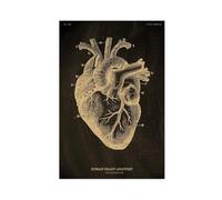 Human Heart Anatomy Anatomical Skeleton Chalkboard Poster Canvas Posters Vintage Home Room Medicine Student Decor Medical Art Wall Painting Canvas Poster Bedroom Decor Landscape Office Room Decor Gift