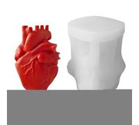 Human Heart Silicone Mold,Handmade 3D Human Heart Silicone Mold | Multipurpose Tool For Creating Dessert, Soap, Clay And Wax Crafts