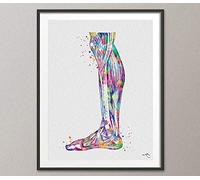 Human Leg Anatomy Watercolor Print Orthopedic Knee Ankle and Foot Physiotherapists Office Decor Medical Art Chiropractic Clinic Poster -1364