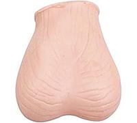 Human Male Testicular Examination Simulator - Anatomical Model for Cancer Training and Education