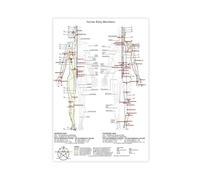 Human Meridians, Acupuncture Points, And The Body's Lifeline Chart Canvas Poster Bedroom Decor Landscape Office Room Decor Gift 12x18inch(30x45cm)