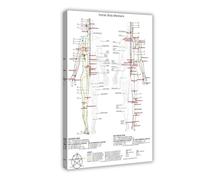 Human Meridians, Acupuncture Points, And The Body's Lifeline Chart Canvas Poster Wall Art Decor Print Picture Paintings for Living Room Bedroom Decoration 20x30inch(50x75cm)